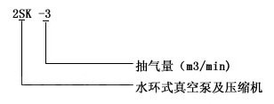 2SKF型水環(huán)式真空泵外